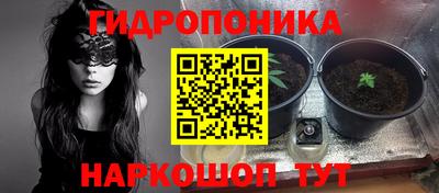 кокс Аргун