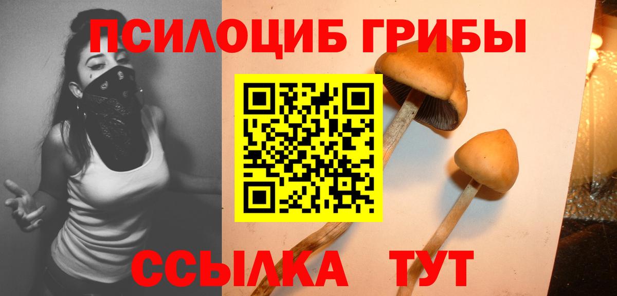 Барнаул  Псилоцибиновые грибы GOLDEN TEACHER  купить наркоту  Вход с VPN 